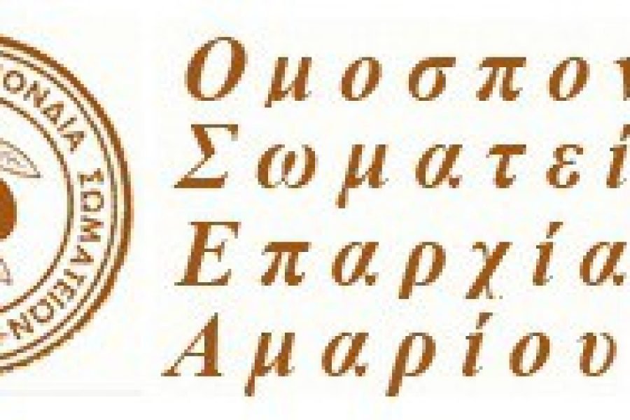 Ομοσπονδία Επαρχίας Αμαρίου-συγκρότηση σε σώμα